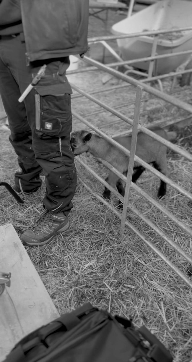 Making Of Aufnahmen vom Filmdreh für die ACS Group